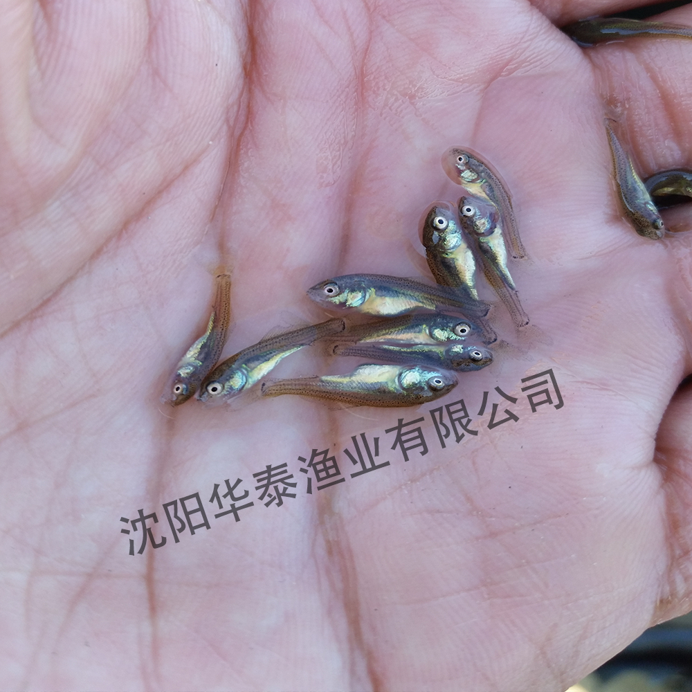 &#74;&#68;&#66;&#40;&#20013;&#22269;&#30005;&#23376;&#41;&#23448;&#26041;&#32593;&#31449;&#95;&#74;&#68;&#66;